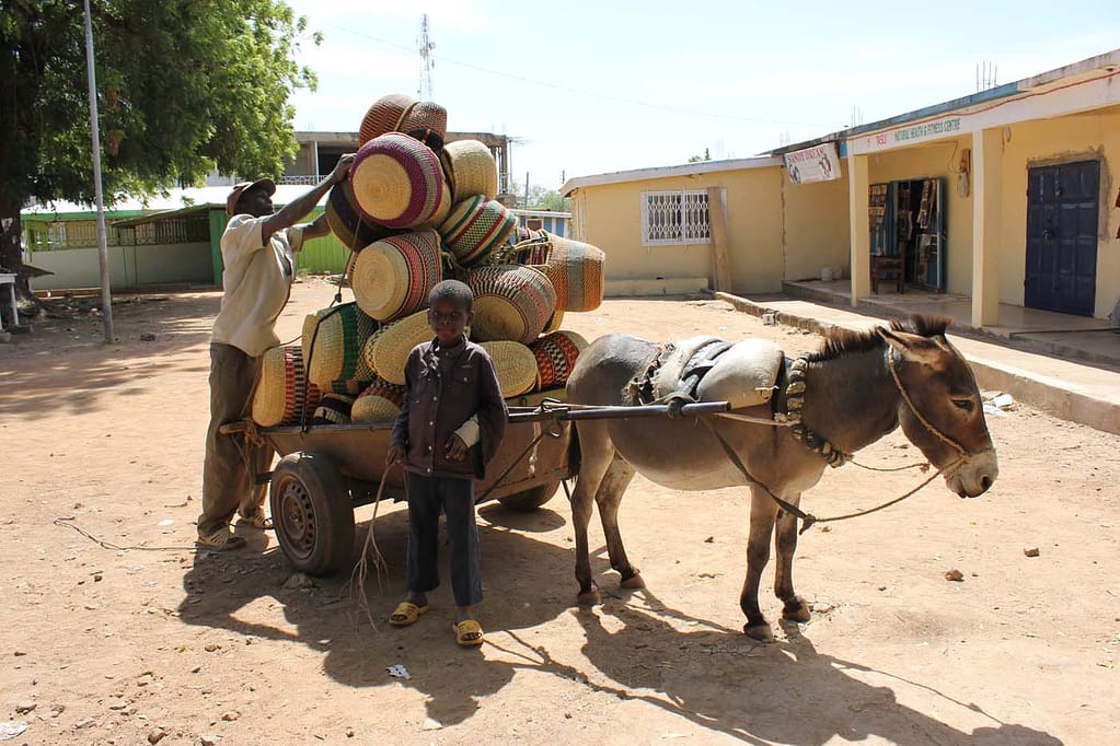 © Copyright African Market Baskets